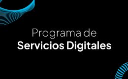 Presentación del programa Servicios Digitales FAPyD