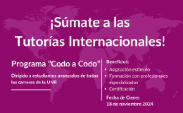 Programa de Tutorías Internacionales «Codo a Codo»